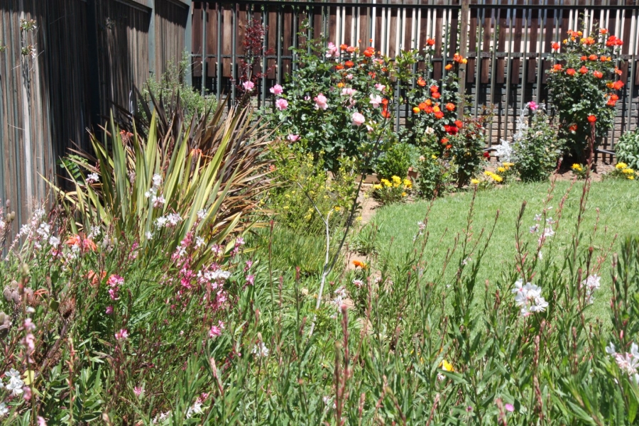 3 Bedroom Property for Sale in Dewetsdorp Free State